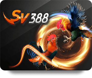 BK8 Casino Đẳng Cấp: Địa Chỉ Giải Trí Hoàn Hảo Cho Game Thủ
